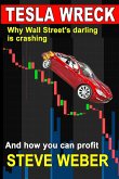 Tesla Wreck: Why Wall Street's Darling is Crashing and How You Can Profit