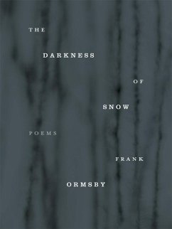 Cover Darkness of Snow (eBook, ePUB)
