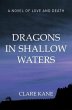 Dragons in Shallow Waters (eBook, ePUB) - Bild 1