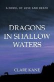Dragons in Shallow Waters (eBook, ePUB)