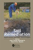 Soil Remediation (eBook, PDF)