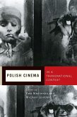 Polish Cinema in a Transnational Context (eBook, PDF)