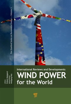 Wind Power for the World (eBook, PDF)