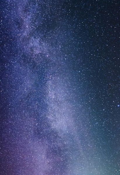 Seth projekt (eBook, ePUB) Seth projekt (eBook, ePUB)