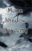 Moon Shadow Academy (eBook, ePUB)