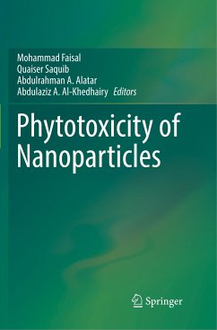 Phytotoxicity of Nanoparticles