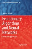 Evolutionary Algorithms and Neural Networks