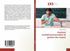 Analyses multidimensionnelles de gestion des risques - BILOMBO, RAOUL