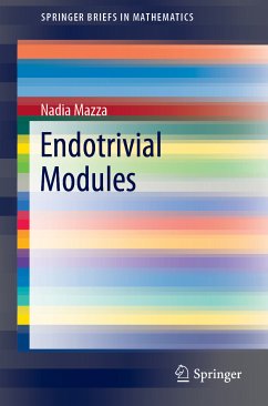 Endotrivial Modules (eBook, PDF) - Mazza, Nadia