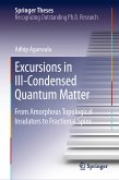 Excursions in Ill-Condensed Quantum Matter (eBook, PDF)