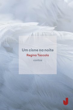 Um cisne na noite (eBook, ePUB) - Taccola, Regina