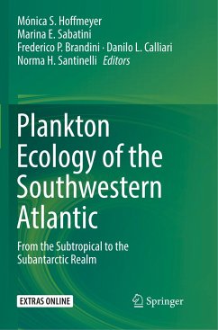 Plankton Ecology of the Southwestern Atlantic