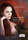 La lacrima dell'ibisco - Libro primo - L'occhio di pietra (eBook, ePUB)