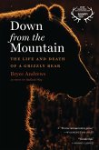 Down from the Mountain (eBook, ePUB)