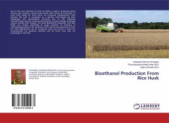 Bioethanol Production From Rice Husk - Samson Imoleayo, Kolawole