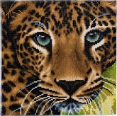 Craft Buddy CAK-A66 - Leopard, 30x30cm Crystal Art Kit, Diamond Painting