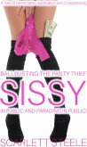 Ballbusting The Panty Thief Sissy In Public And Parading Him In Public! - A Tale Of Feminization Sissification and Crossdressing (eBook, ePUB)
