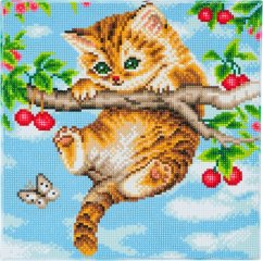 Craft Buddy CAK-A73 - Cherry Kitten, 30x30cm Crystal Art Kit, Diamond Painting