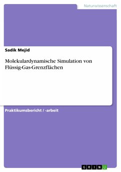 Molekulardynamische Simulation von Flüssig-Gas-Grenzflächen (eBook, PDF)