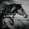 A Horse's Tale (MP3-Download) - Bild 1