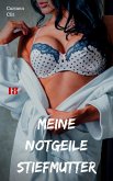 Meine notgeile Stiefmutter (eBook, ePUB)