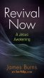 Revival Now (eBook, ePUB) - Bild 1