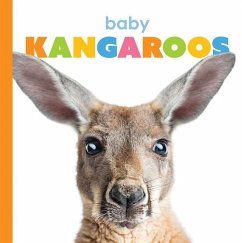 Baby Kangaroos - Riggs, Kate