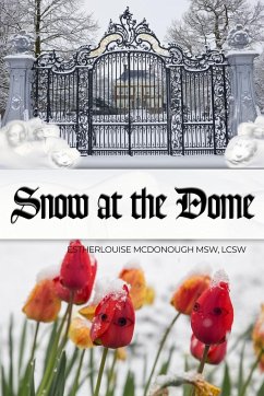 Snow at the Dome - McDonough MSW, LCSW Estherlouise