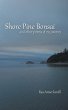 Shore Pine Bonsai - Bild 1