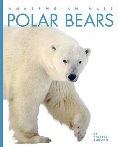 Polar Bears - Bodden, Valerie