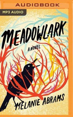 Meadowlark - Abrams, Melanie