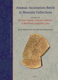 Aramaic Incantation Bowls in Museum Collections: Volume One: The Frau Professor Hilprecht Collection of Babylonian Antiquities, Jena
