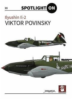 Ilyushin Il-2 - Povinsky, Victor