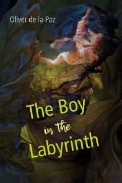 The Boy in the Labyrinth - De La Paz, Oliver