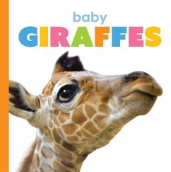 Baby Giraffes - Riggs, Kate