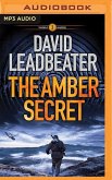 The Amber Secret