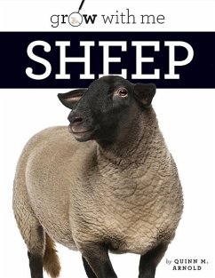 Sheep - Arnold, Quinn M
