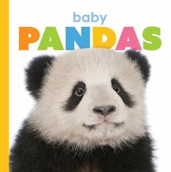 Baby Pandas - Riggs, Kate