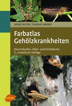 Gehölzkrankheiten (eBook, ePUB) - Butin, Heinz; Brand, Thomas