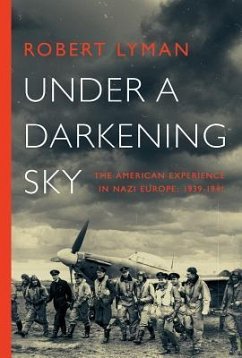Under A Darkening Sky - Lyman, Robert