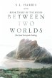 Between Two Worlds - Bild 1