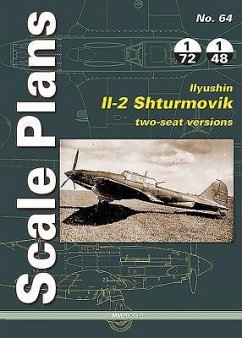 Ilyushin Il-2 Shturmovik, Two-Seat Versions - Pavinsky, Viktor