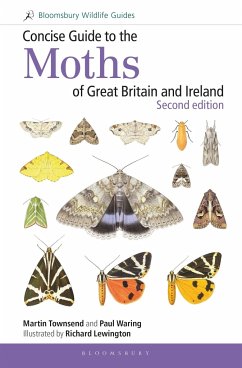 Concise Guide to the Moths of Great Britain and Ireland: Second edition - Townsend, Martin; Waring, Dr Paul