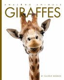 Giraffes