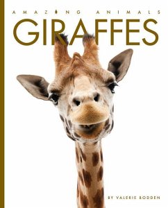 Giraffes - Bodden, Valerie