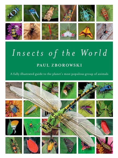 Insects of the World Insects of the World