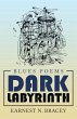Dark Labyrinth - Bild 1