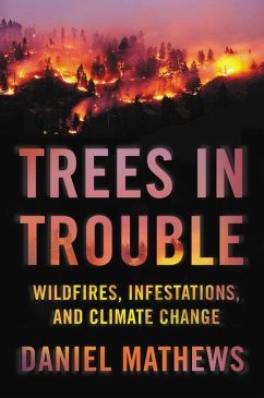 Trees in Trouble: Wildfires, Infestations, and Climate Change - Mathews, Daniel