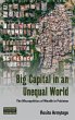 Big Capital in an Unequal World - Bild 1