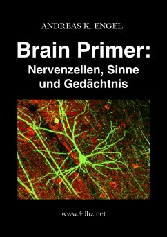 Brain Primer: Nervenzellen, Sinne und Gedächtnis (eBook, ePUB) - Engel, Andreas K.